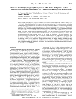 Nitroxide-Labeled Ru(II) Polypyridyl Complexes