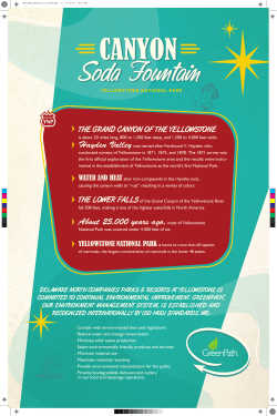 About 25,000 years ago,most of Yellowstone