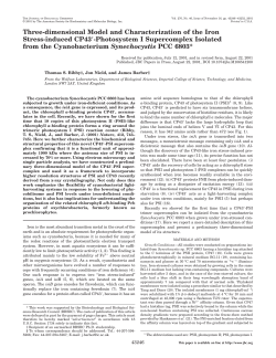 Three-dimensional Model and Characterization of the Iron Stress