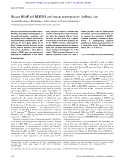 Human BSAP and BLIMP1 conform an autoregulatory feedback loop