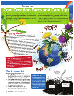 Cool Creation Facts and Care Tips