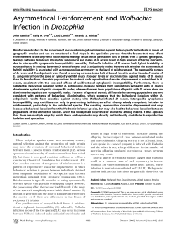Asymmetrical Reinforcement and Wolbachia
