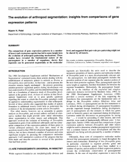 The evolution of arthropod segmentation: expression
