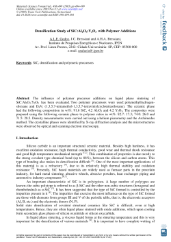 Densification Study of SiC:Al2O3:Y2O3 with Polymer