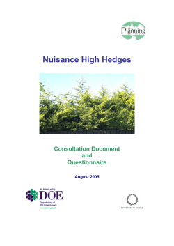 Nuisance High Hedges