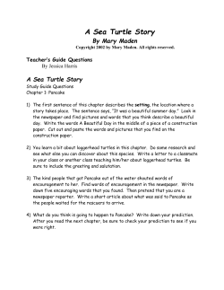 A Sea Turtle Story
