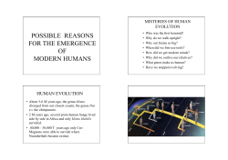possible reasons for the emergence of modern humans