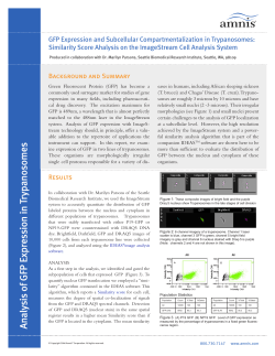 GFP expression and subcellular