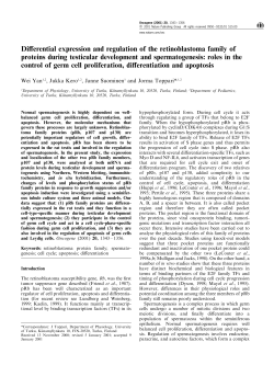 Di erential expression and regulation of the retinoblastoma