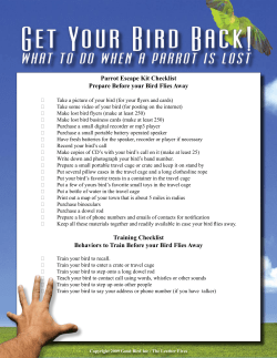 Parrot Escape Kit Checklist Prepare Before your Bird Flies Away
