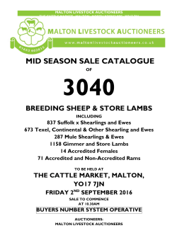 mid season sale catalogue - Malton Livestock Auctioneers
