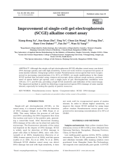 Improvement of single-cell gel electrophoresis (SCGE) alkaline