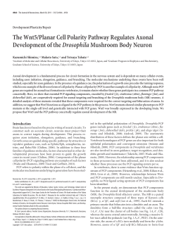 The Wnt5/Planar Cell Polarity Pathway Regulates Axonal