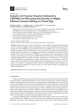 Somatic Cell Nuclear Transfer Followed by CRIPSR/Cas9
