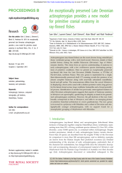 An exceptionally preserved Late Devonian actinopterygian provides