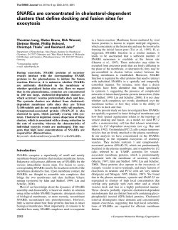 SNAREs are concentrated in cholesterol