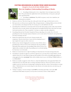 Evicting Groundhogs and Skunks