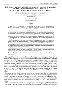 the use of heterogenous (murine) hyperimmune antisera in b