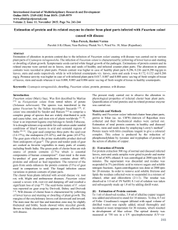 241 Estimation of protein and its related enzyme in cluster bean