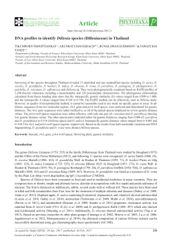 DNA profiles to identify Dillenia species