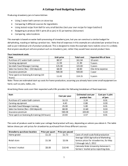 A Cottage Food Budgeting Example