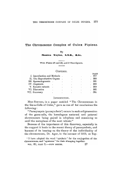The Chromosome Complex of Culex Pipiens.