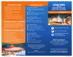 Printer-friendly PDF