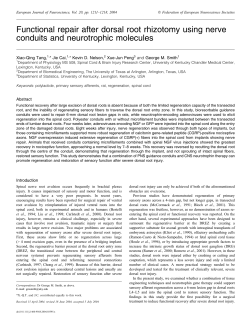 Functional repair after dorsal root rhizotomy using