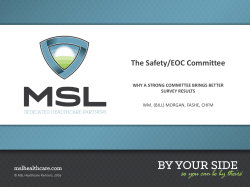 The Safety/EOC Committee