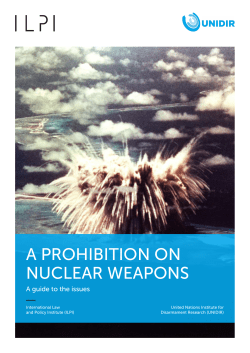 A Prohibition on Nuclear Weapons