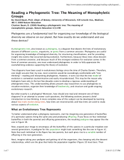 Baum Phylogenetic Trees