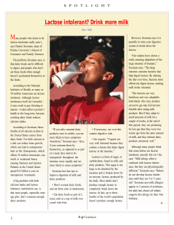 Lactose intolerant? Drink more milk