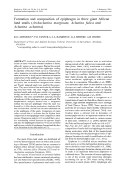 Formation and composition of epiphragm in three giant