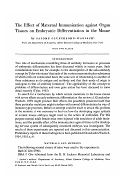 The Effect of Maternal Immunization against Organ