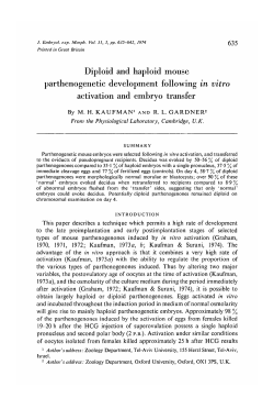 Diploid and haploid mouse parthenogenetic development following