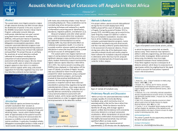 Acoustic Monitoring of Cetaceans off Angola in