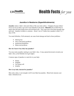 Jaundice in Newborns (Hyperbilirubinemia)