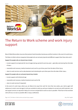 The Return to Work scheme and work injury support