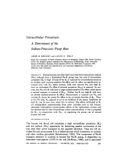 A Determinant of the Sodium-Potassium Pump Rate