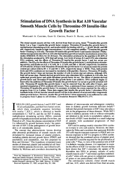 Stimulation of DNA Synthesis in Rat AlO Vascular Smooth Muscle