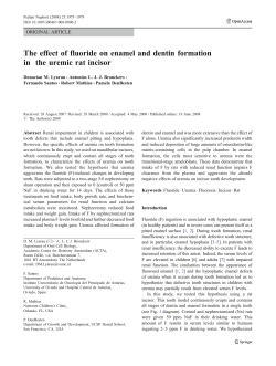 The effect of fluoride on enamel and dentin