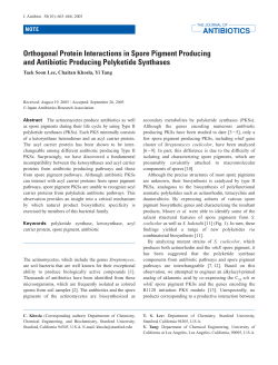 Orthogonal Protein Interactions in Spore Pigment Producing and