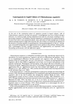 Gametogenesis in Liquid Cultures of