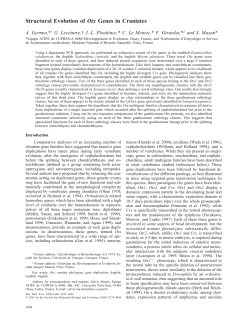 Structural Evolution of Otx Genes in Craniates