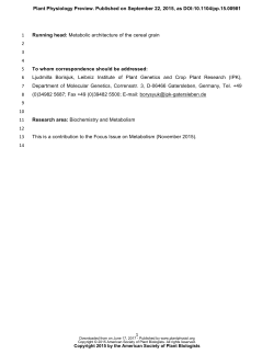 Metabolic architecture of the cereal grain and its relevance to