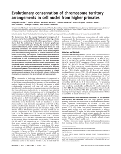 Evolutionary conservation of chromosome territory arrangements in