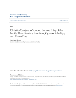 Christio-Conjure in Voodoo dreams, Baby of the family, The salt