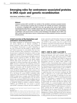 Emerging roles for centromere-associated proteins in DNA repair
