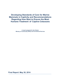 Developing Standards of Care for Marine Mammals in Captivity
