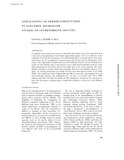 APPLICATIONS OF FREEZE-SUBSTITUTION TO ELECTRON